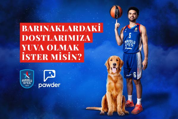 Anadolu Efes, depremzede köpeklerin ve barınak hayvanlarının sahiplendirilmesine destek olacak