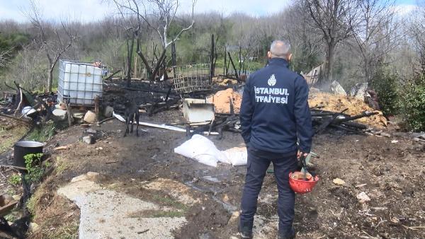 Beykoz'da ahır yangını: 1 inek ve 1 köpek öldü