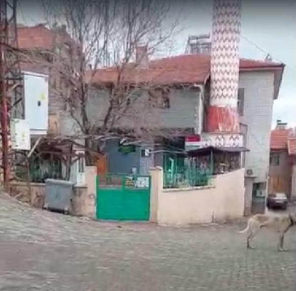 Çorum'da teravih çıkışında silahlı kavga: 6 yaralı, 2 tutuklama