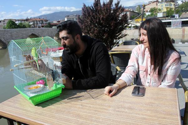 Depremzede çiftin yanlarından ayırmadıkları muhabbet kuşu kazada kayboldu