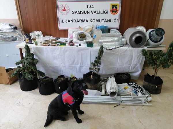 Evlerine iklimlendirme sistemi kurup uyuşturucu üreten 3 şüpheli gözaltına