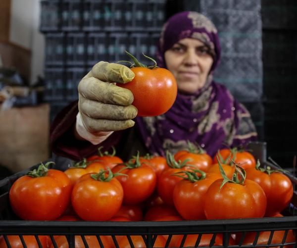 İhracatın kralı domates ve biber oldu