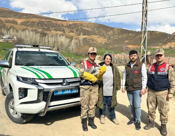 Jandarma, yol kenarında yaralı halde gri balıkçıl türü kuş buldu