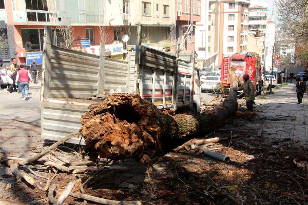 Kağıthane’de ağaç, anne ve çocuğunun içinde olduğu kamyonetin üzerine devrildi