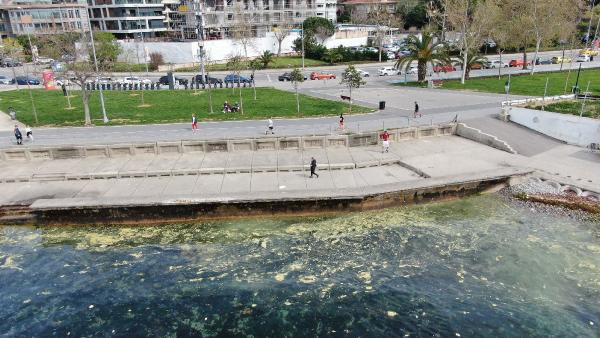 Marmara'da endişelendiren görüntü