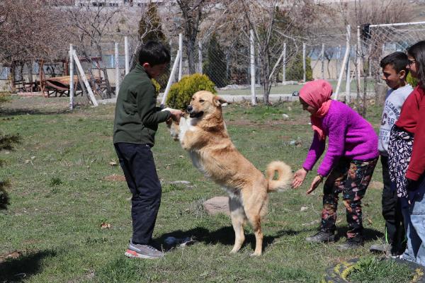 Şiddet uyguladıkları köpekler, şimdi en yakın dostları