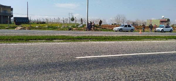 Siirt'te ineğe çarpan otomobilin sürücüsü yaralandı