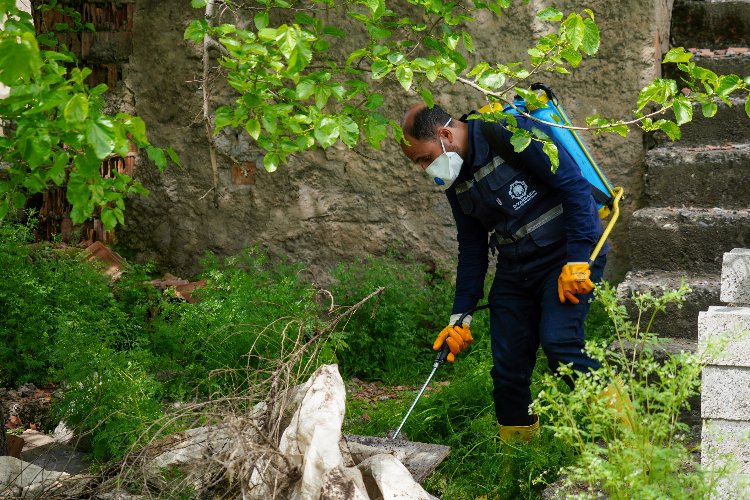 Diyarbakır'da ilaçlama çalışmaları aralıksız sürüyor