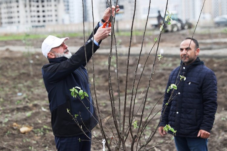 Kayseri Kocasinan'dan meyve bahçeli park projesi