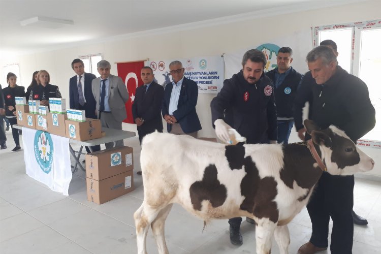 Manisa Selendili hayvan üreticilerine Büyükşehir desteği