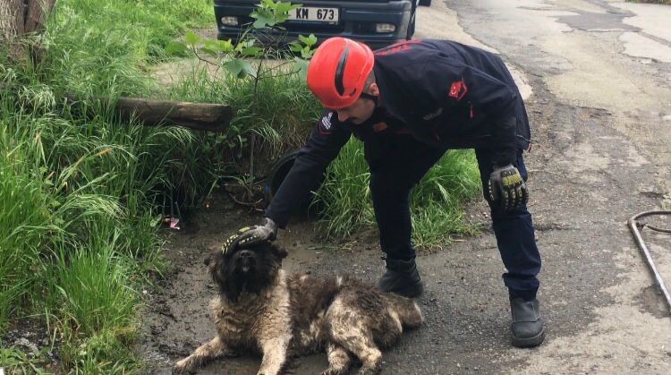 Akar borusuna sıkışan köpeği itfaiye ekipleri kurtardı