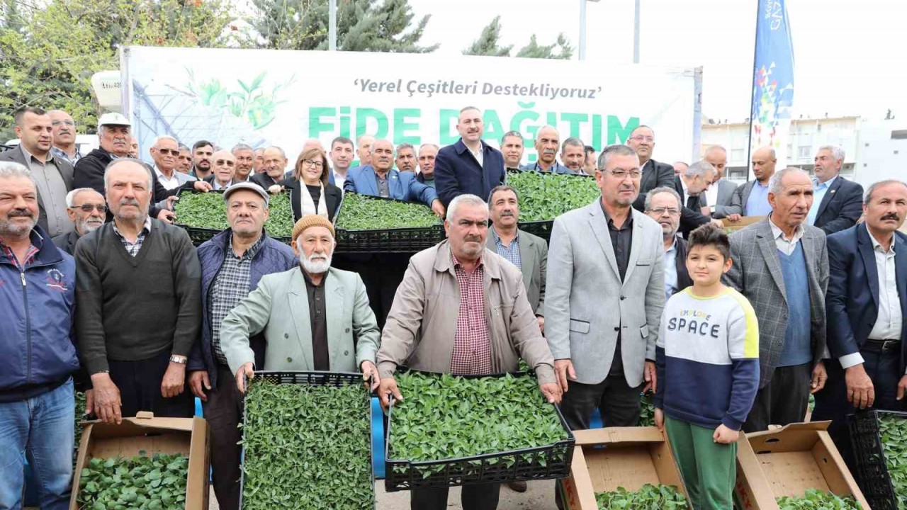 Gaziantep’te çiftçilere 2 milyon adet fide desteği