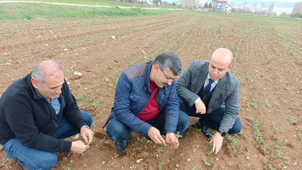 Hüyük’te araziler yağışlarla bereketlendi