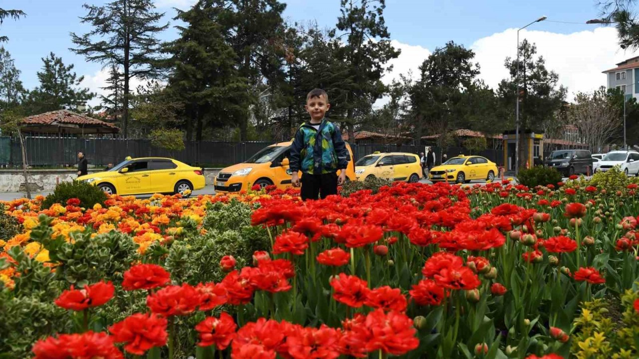 Isparta’da ilkbaharın renkli havası çiçeklere yansıyor