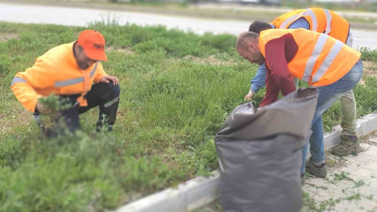 Karayolları çevresinde yabani ot temizliği