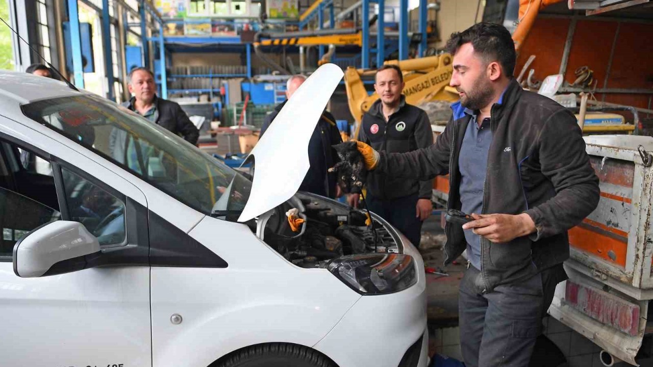 Motora sıkışan kedi için seferberlik