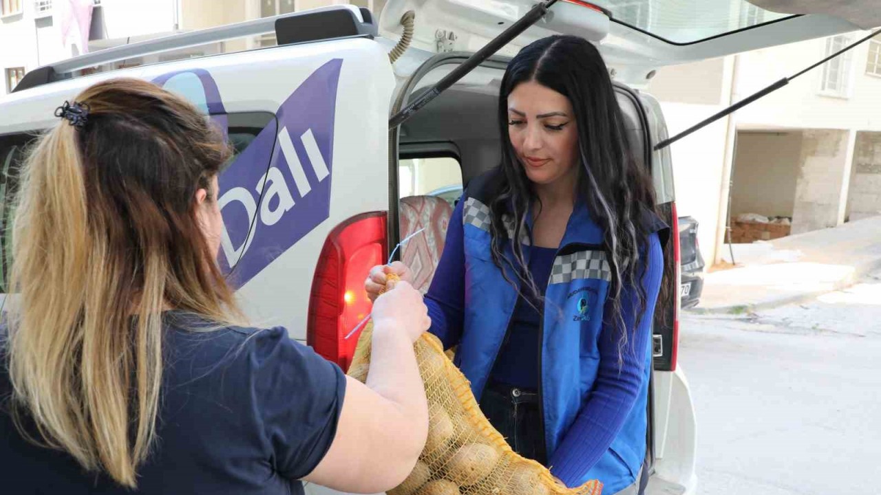 Mudanya Belediyesi’nden vatandaşın sofrasına 30 ton patates