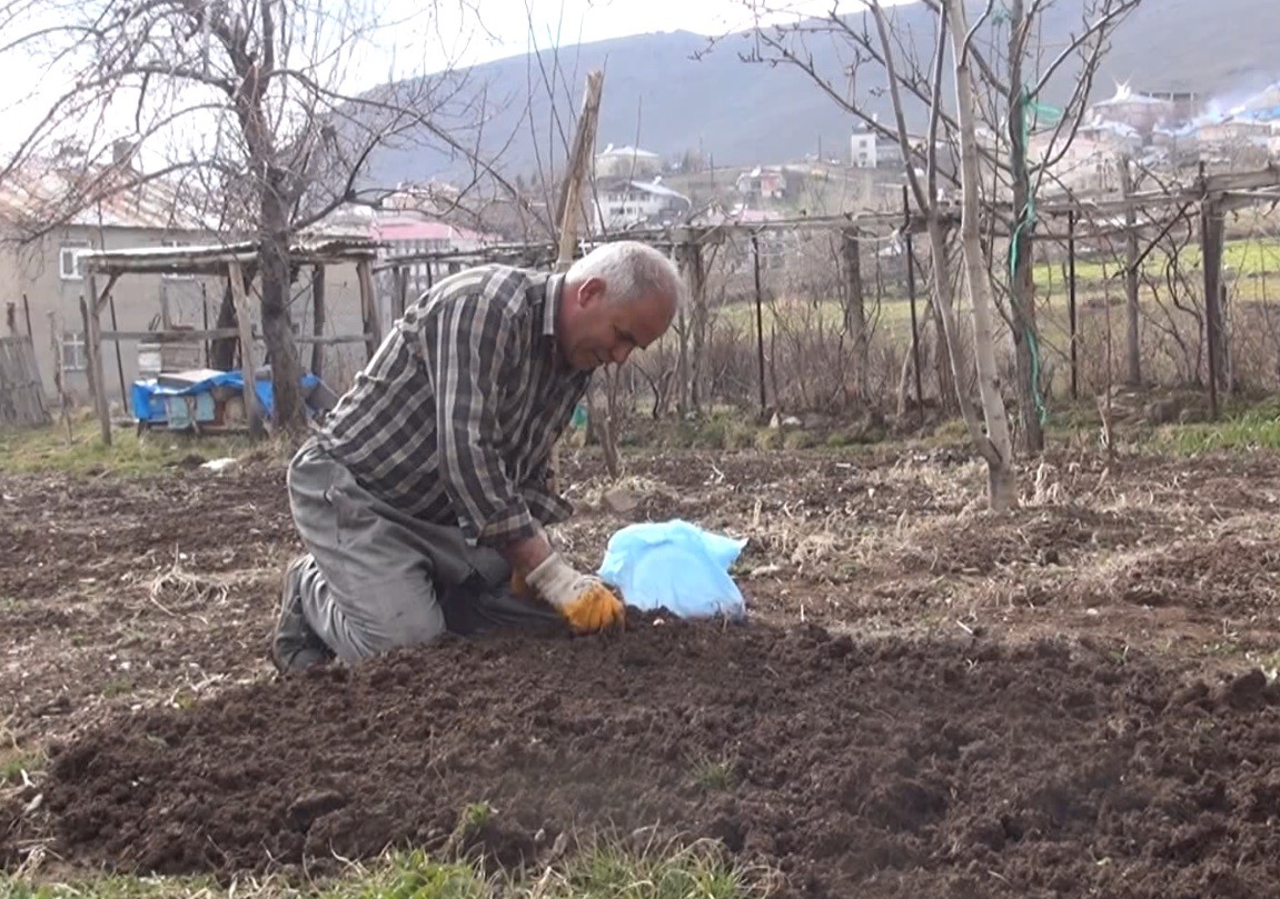 Muş’ta bahar hazırlıkları başladı