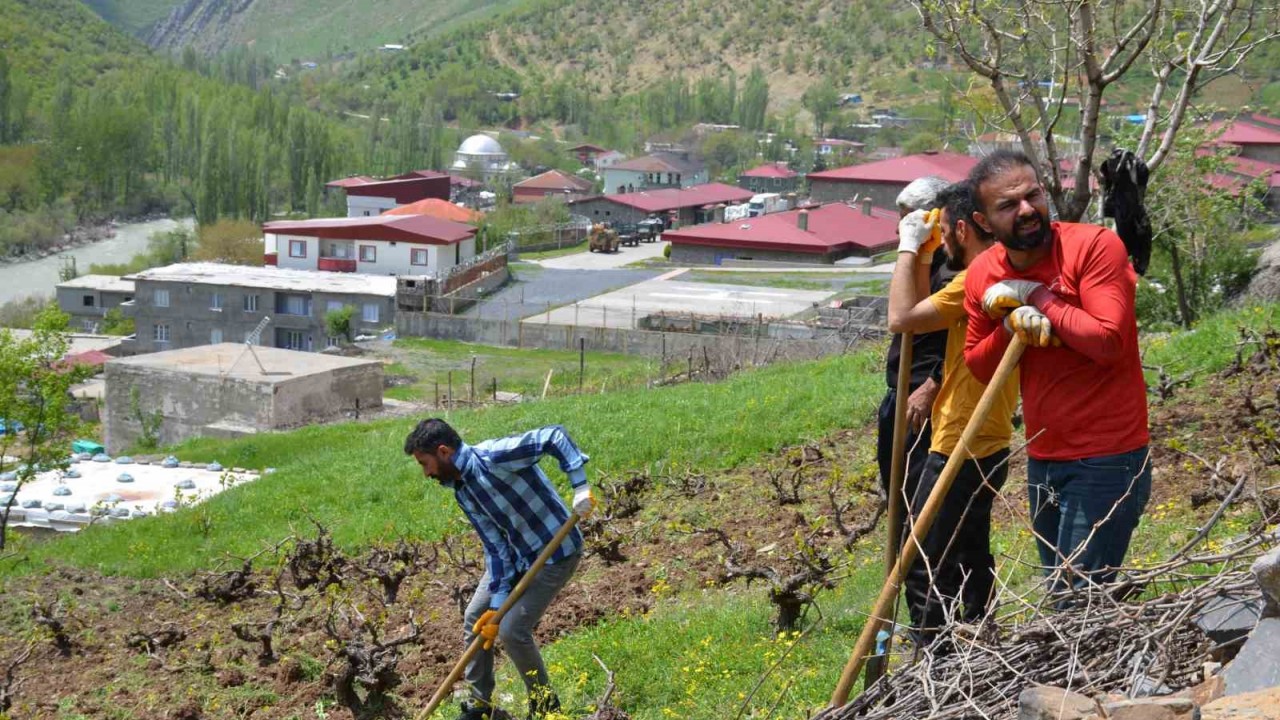 Şırnak’ta köylülerin imece usulü bağ bozma mesaisi başladı