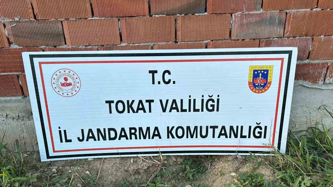 Tokat’ta 188 kök kenevir ele geçirildi