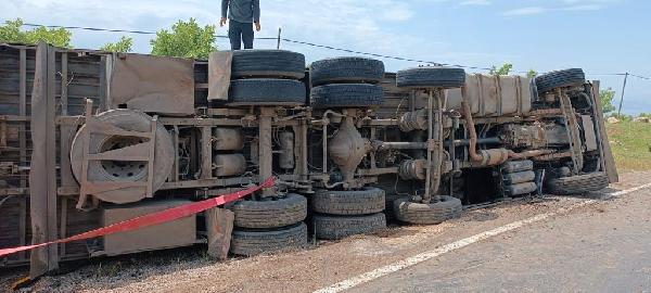 Devrilen TIR'daki 102 koyun ve keçi öldü; şoför yaralı