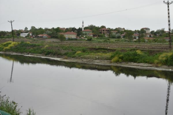 Ergene Nehri'nin suyu 3'üncü derece kirli çıktı