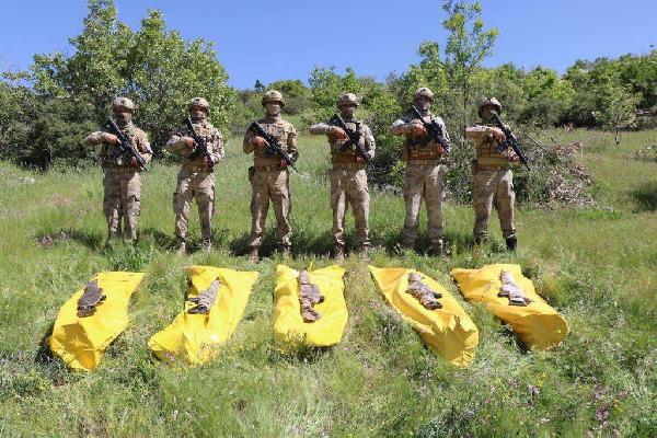 İçişleri: Şırnak'ta 2 terörist daha etkisiz hale getirildi