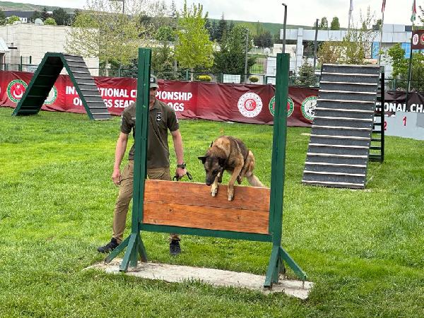 'Narkotik köpekler' yarışmasında Nobel, 1'inci oldu