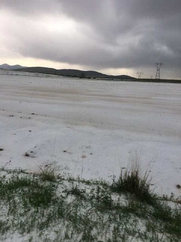 Niğde'de dolu, tarım arazilerine zarar verdi