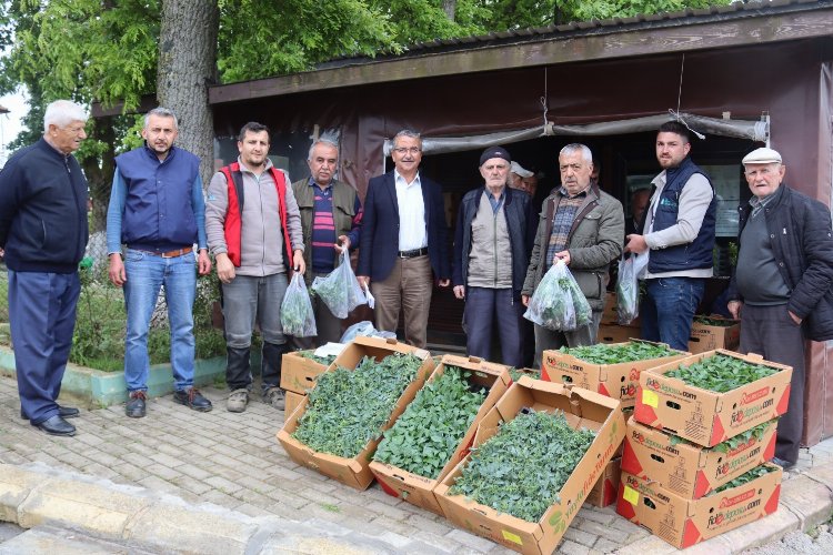 İzmit'te fideler kırsala dağıtılıyor