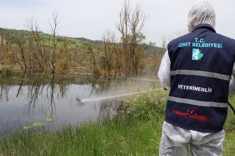 İzmit'te larva ile mücadele çalışmaları hızlandı