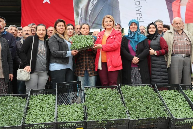 İzmit'te sebze üretmeyen köy kalmayacak