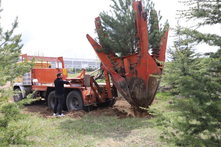 Kayseri Büyükşehir'den yeşil harekat