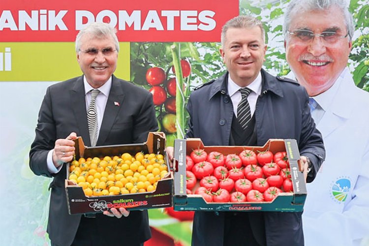 Sakarya serasından 'mükemmel' ürünler