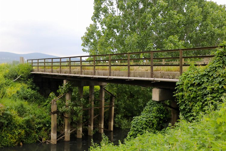 Sakarya Söğütlü'ye köprü müjdesi