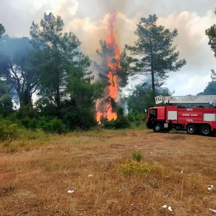 Antalya’da çıkan orman yangını büyümeden kontrol altına alındı