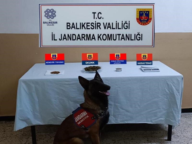 Balıkesir’de jandarmadan 48 şahsa uyuşturucu operasyonu