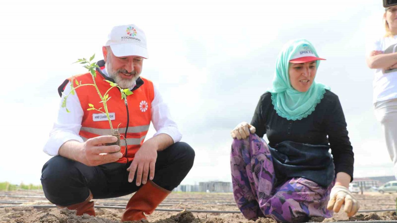 Başkan Çolakbayrakdar; “Kocasinan, şehrin merkezinde tarımsal üretimle Türkiye’ye örnek olacak”