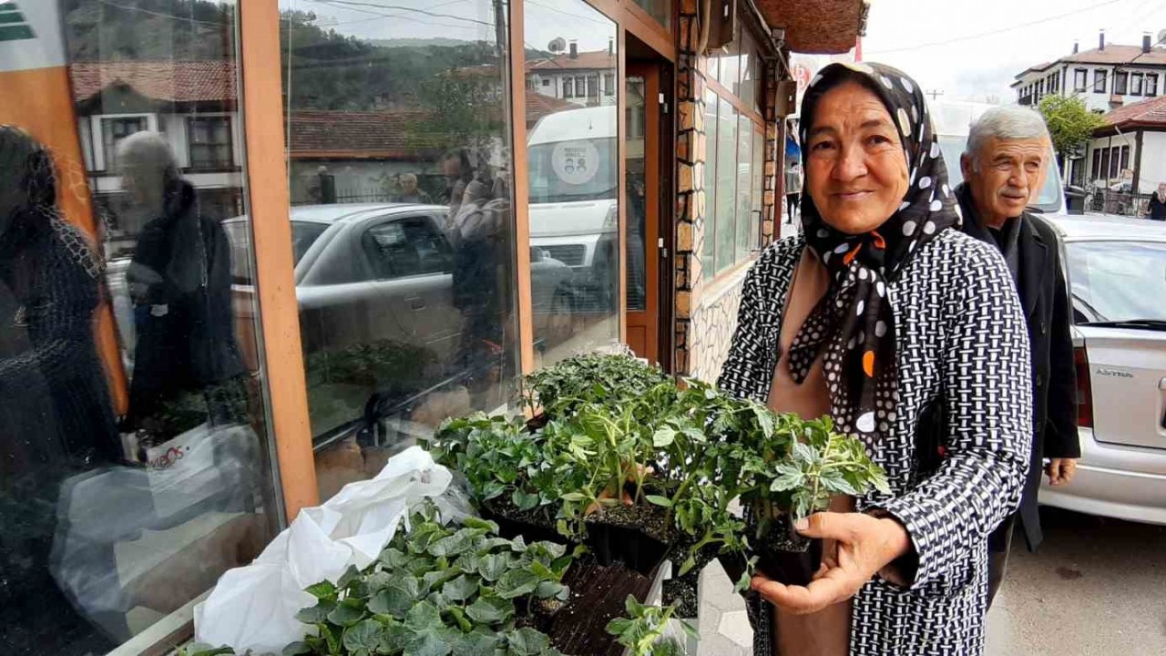 Bolu’da 10 bin fideye yoğun talep