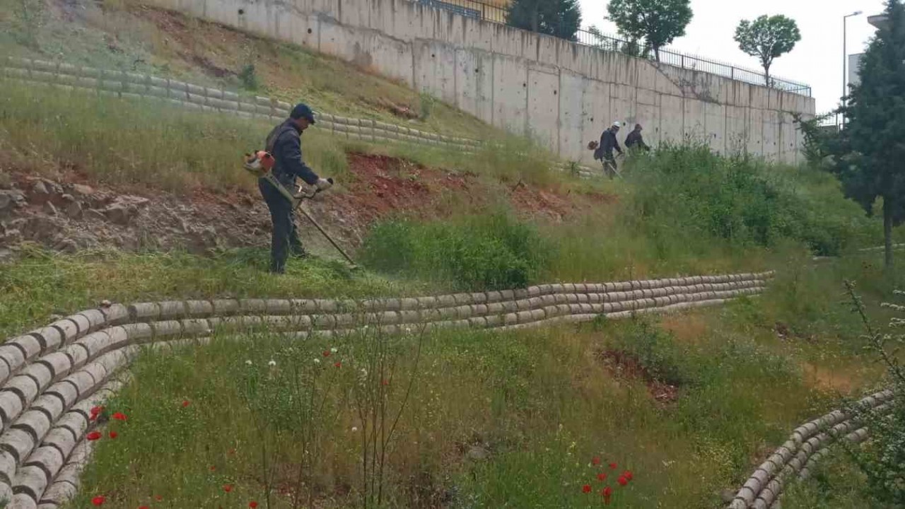 Dulkadiroğlu’nda çevre temizliği