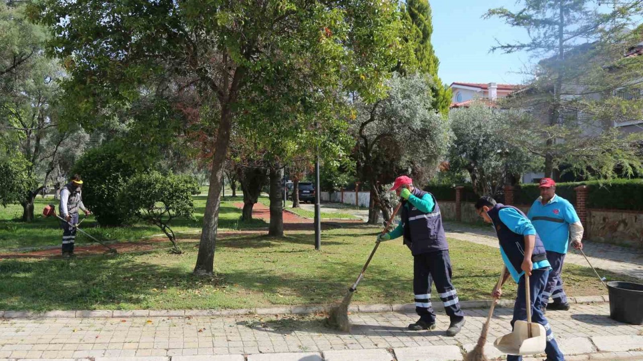 Efeler’in yeşil ekipleri, bahar temizliğini sürdürüyor