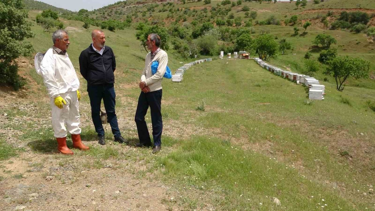 Elazığ Arı Yetiştiricileri Birliği Başkanı Canbay: “Ekolojik dengede en önemli unsur arıdır”