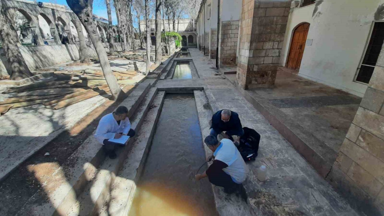 Elazığ Su Ürünleri Araştırma Enstitüsü, Balıklıgöl’de inceleme yaptı