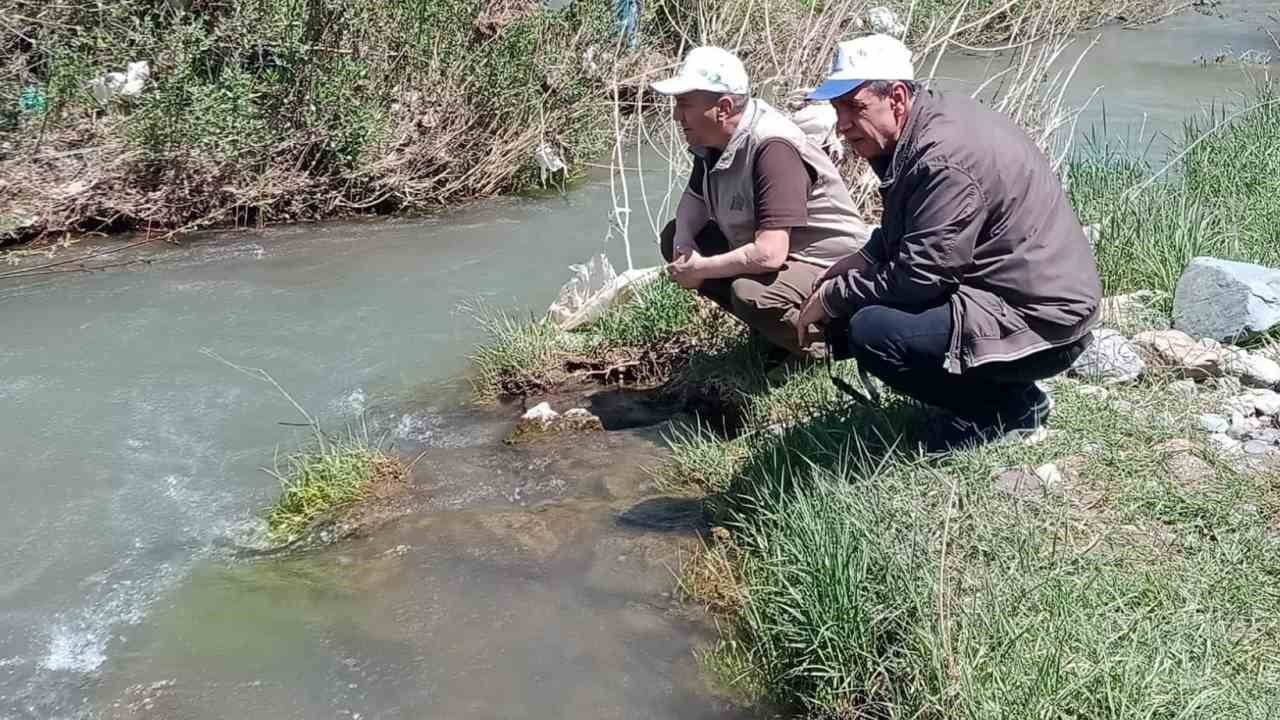 Elazığ’da Hazar İnci ve Siraz Balığı izleme çalışması yapıldı