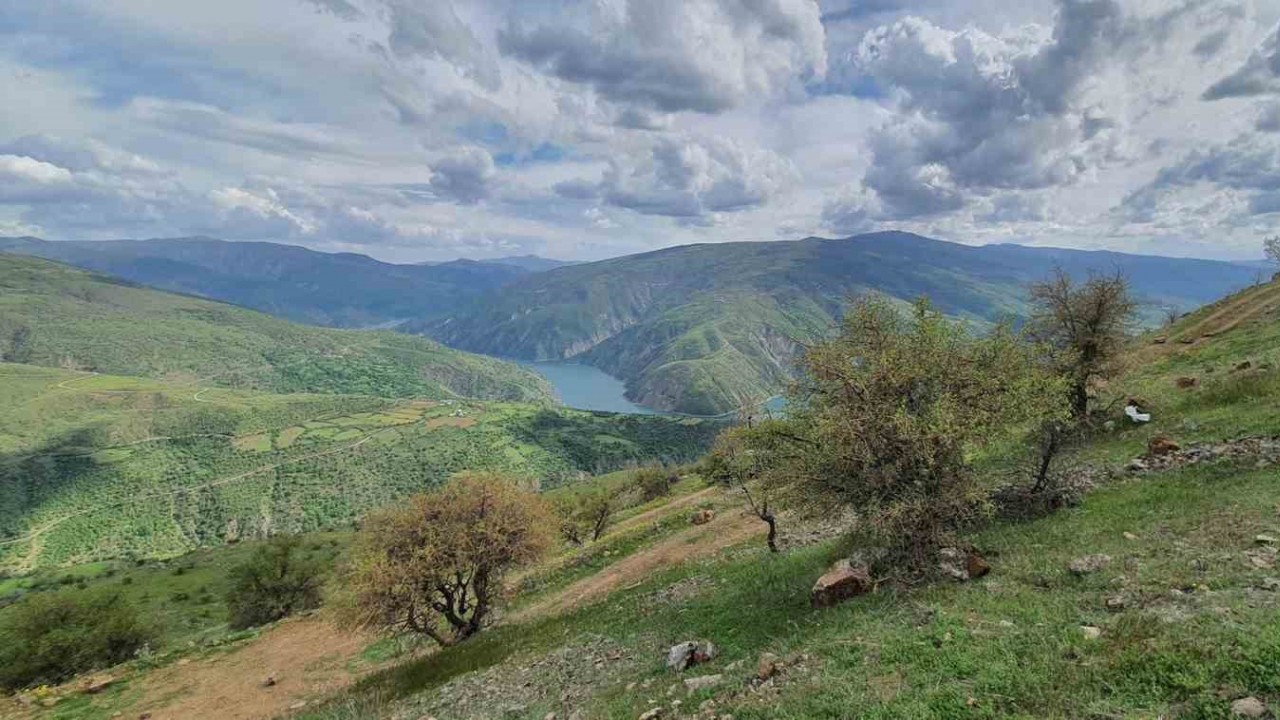 Elazığ’da makinalı toprak işleme çalışmaları başladı