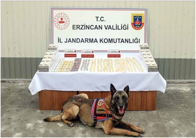 Erzincan’da jandarma ekiplerince 11 faili meçhul olayın 10’u aydınlatıldı