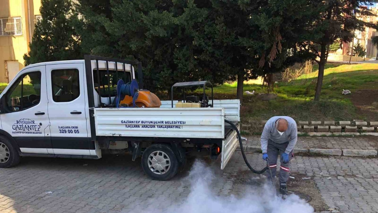 Gaziantep’te haşere ile mücadele