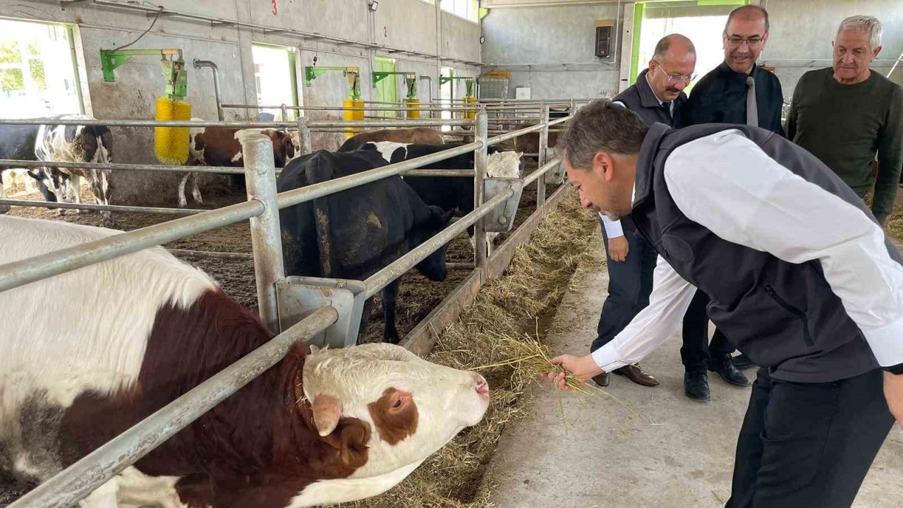 "Geçen yıl Kütahya’da girişimcilere TKDK’dan 106, Kırsal Kalkınma’dan 58 destekleme verildi"