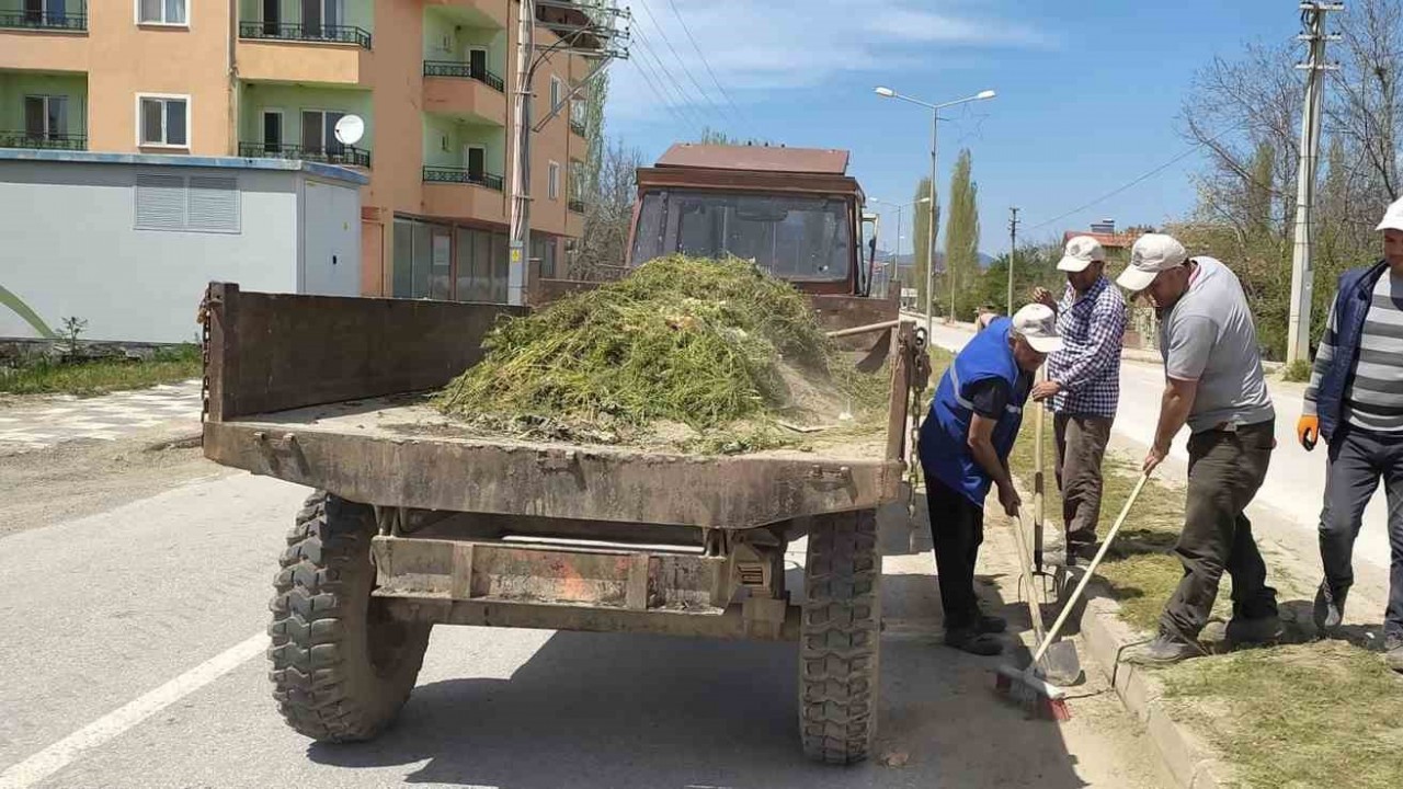 Hisarcık’ta yabani ot temizliği