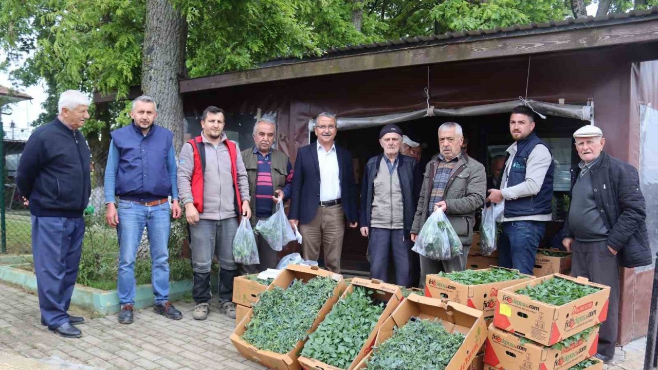 İzmit Belediyesi köylerde fide dağıtımına başladı